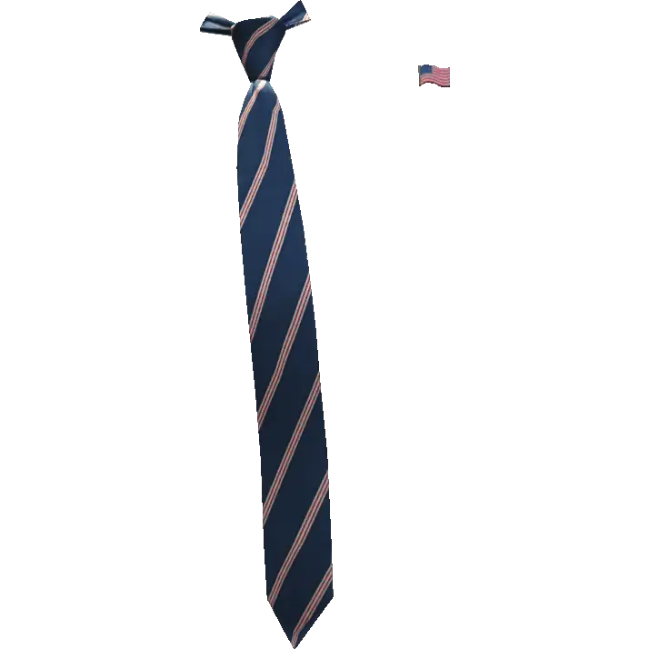 Галстук и значок