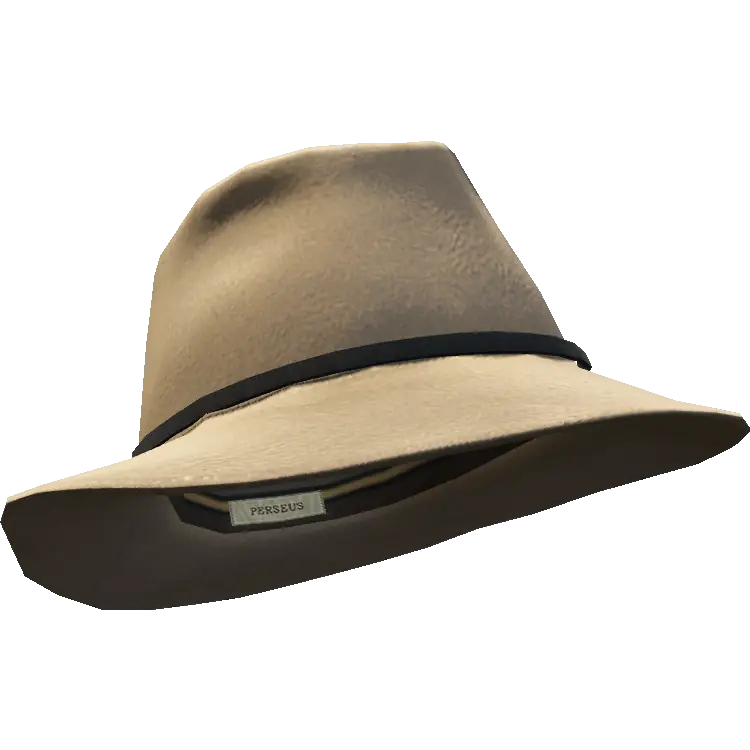 Шляпа с тонкой вставкой