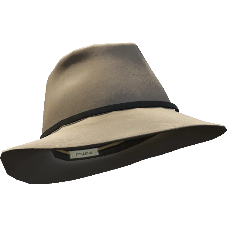 Шляпа с тонкой вставкой