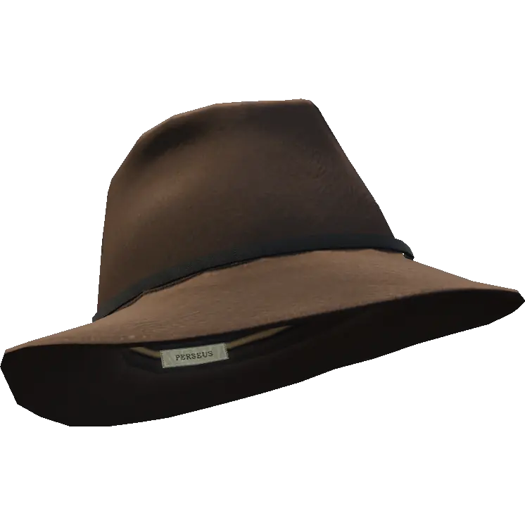 Шляпа с тонкой вставкой