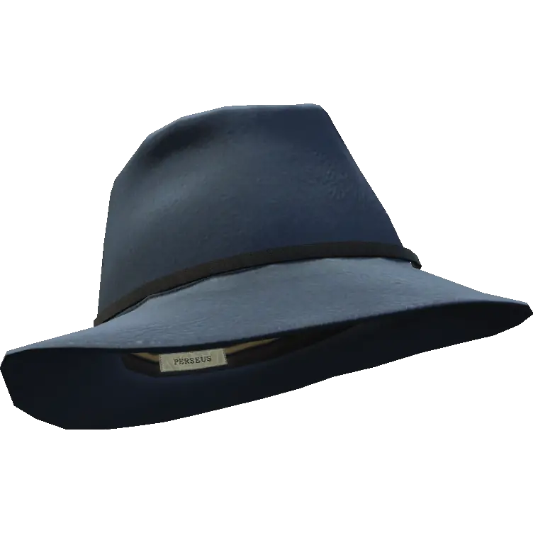 Шляпа с тонкой вставкой