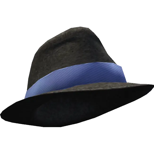 Шляпа с широкой вставкой