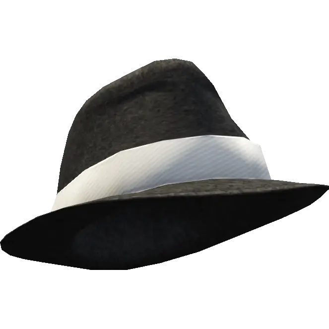 Шляпа с широкой вставкой