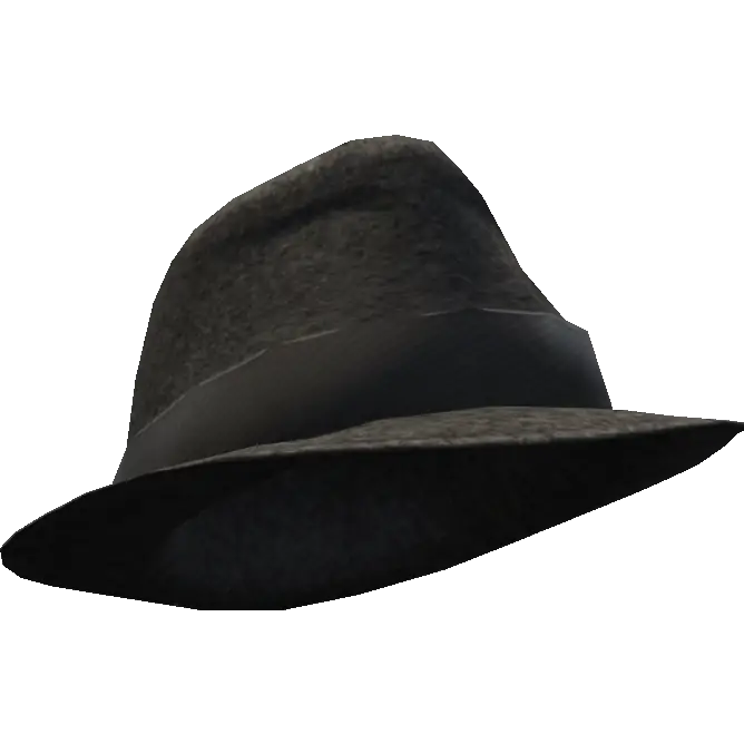 Шляпа с широкой вставкой