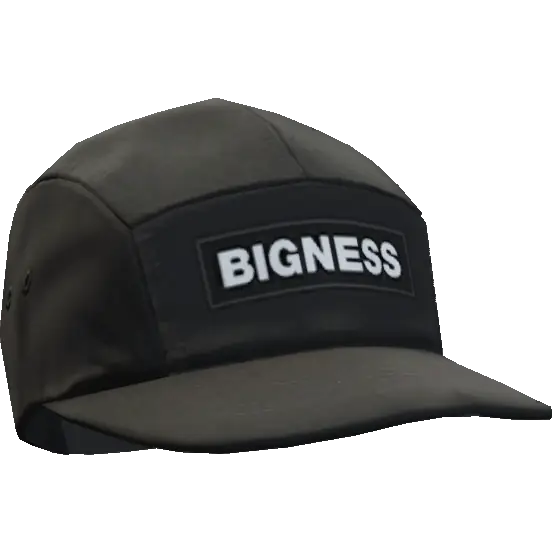 Кепка 'Bigness'