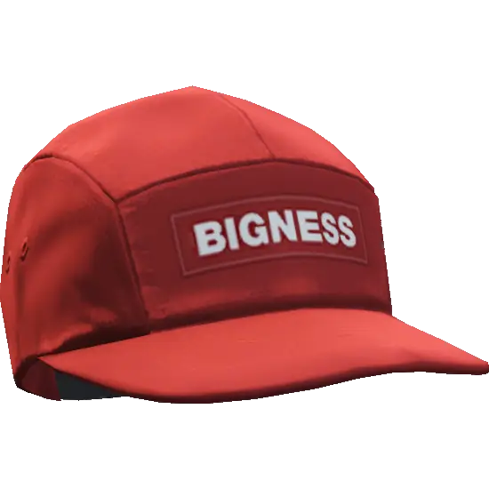 Кепка 'Bigness'