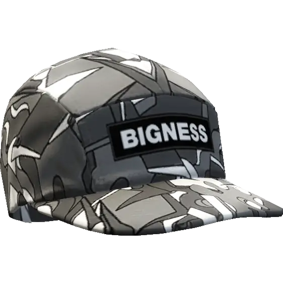 Кепка 'Bigness'