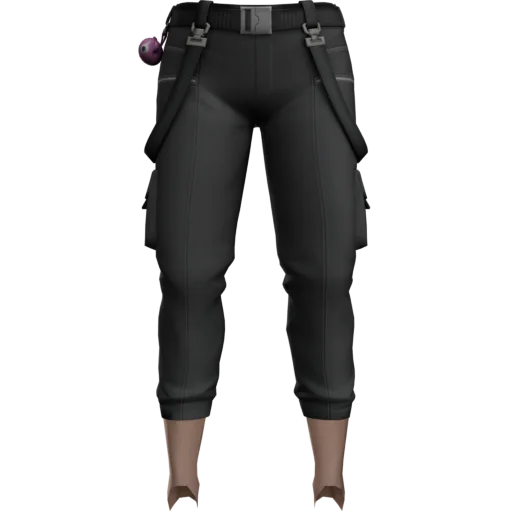 Штаны Skull Pass [455]