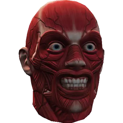 Анатомическая