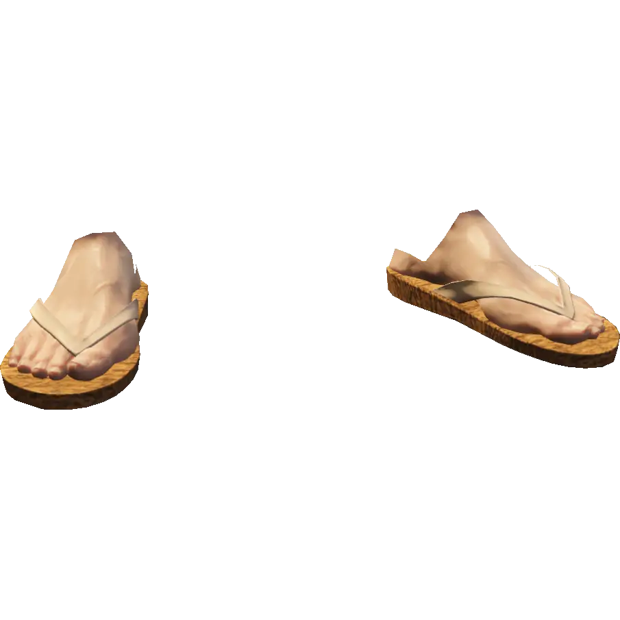 Вьетнамки летние