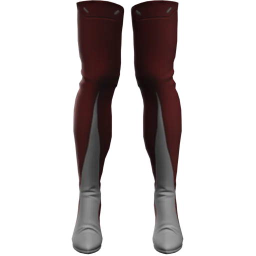 Ботфорты Ladyjacket [814]