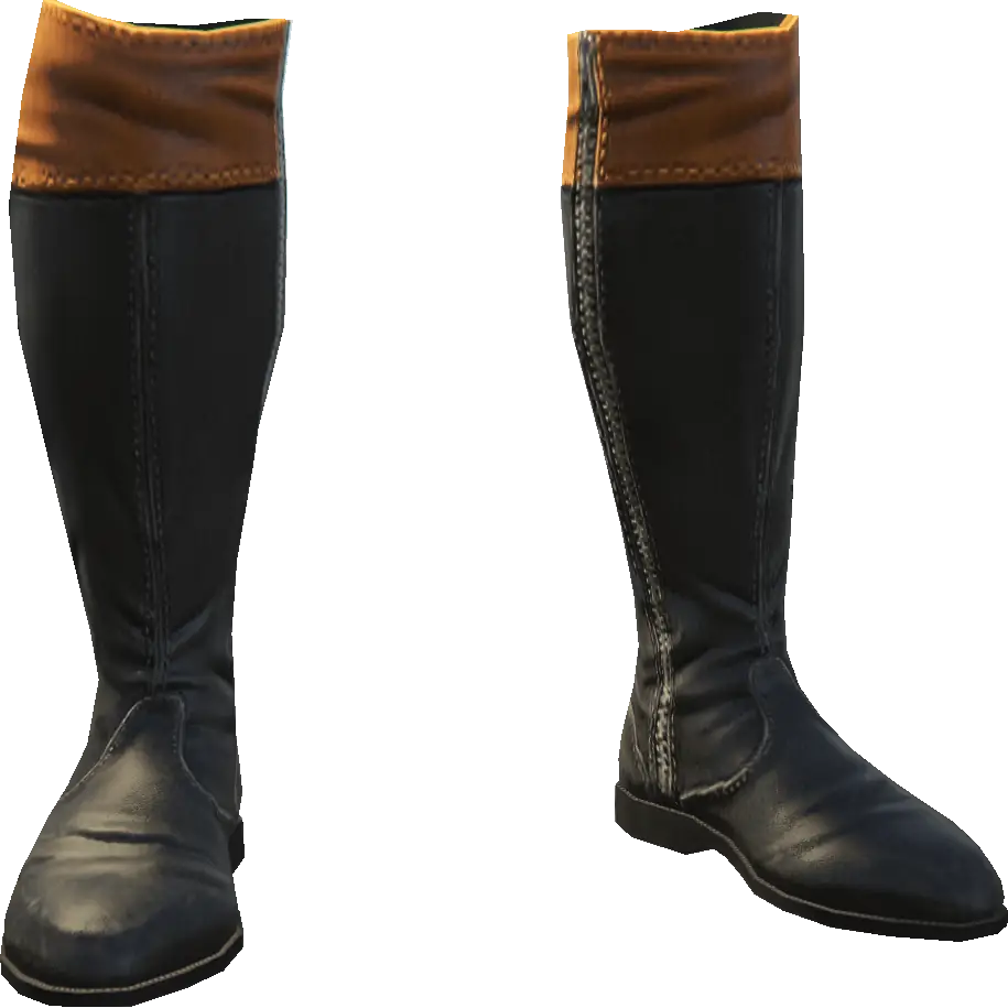 Высокие сапоги