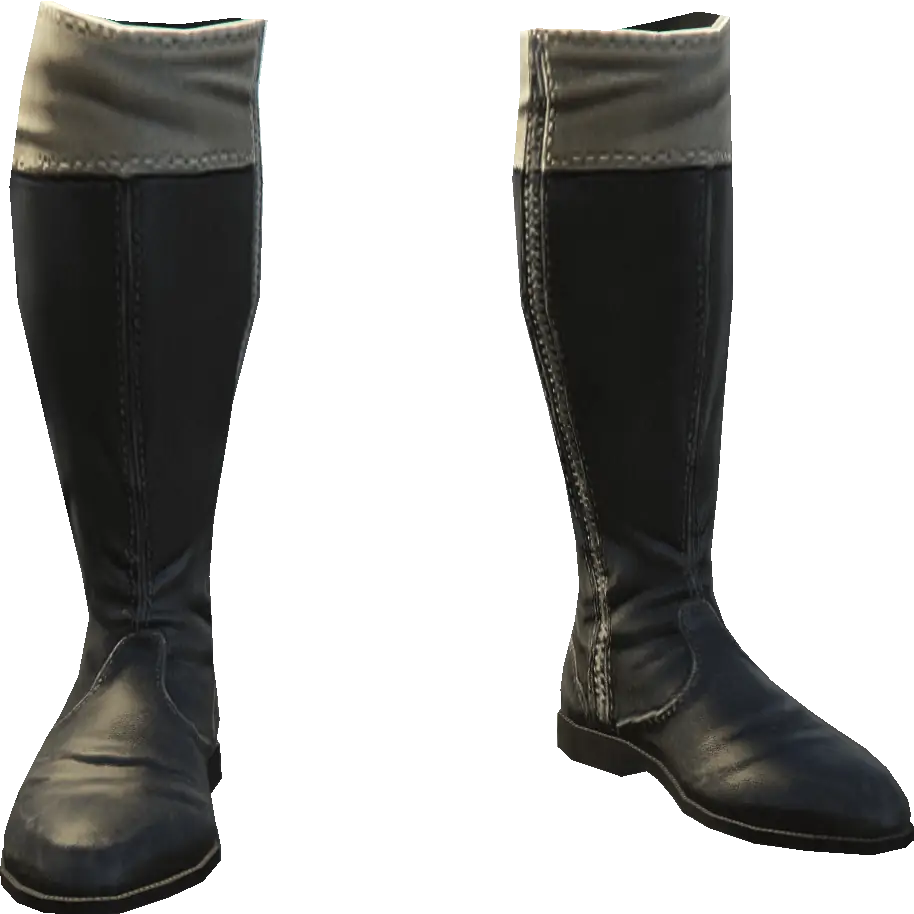 Высокие сапоги