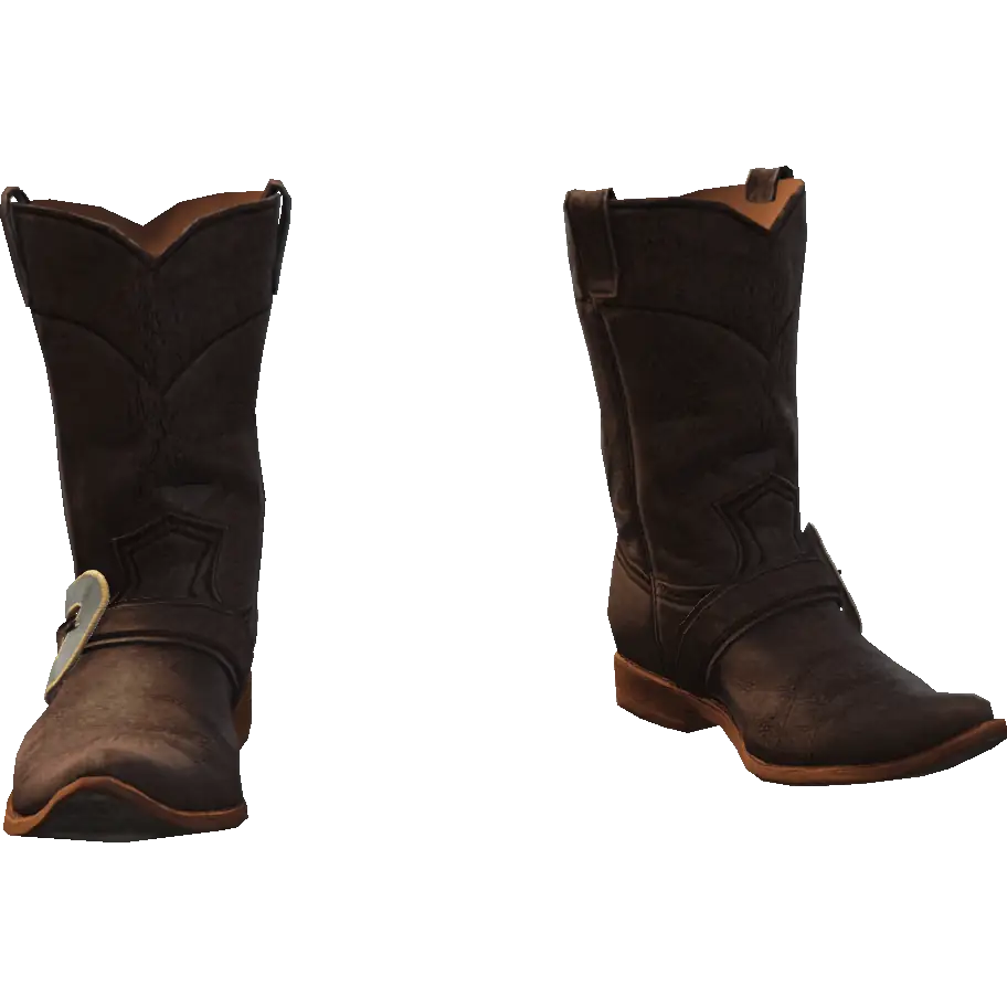 Сапоги ковбойские