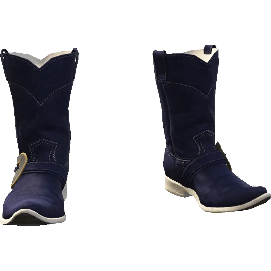 Сапоги Дикий запад 