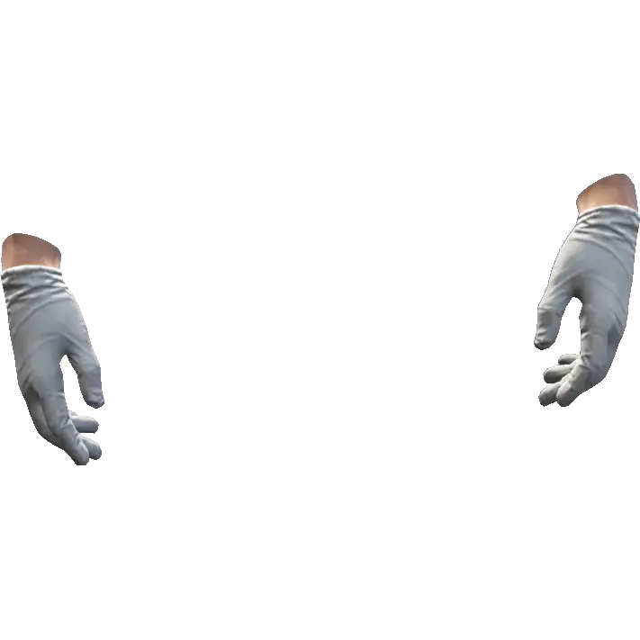 Перчатки №11