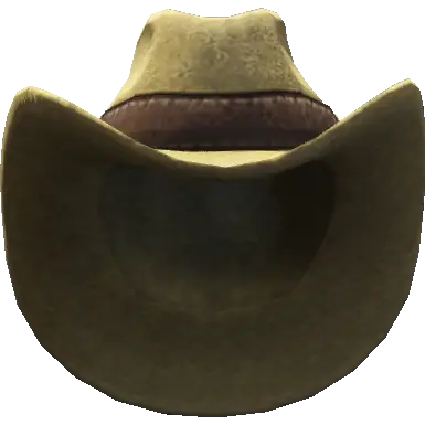 Ковбойская шляпа