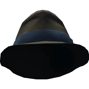 Шляпа с широкой вставкой