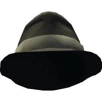 Шляпа с широкой вставкой