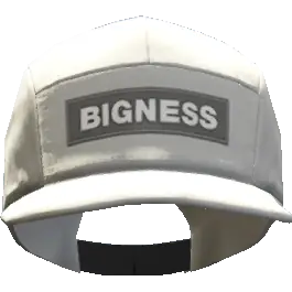 Кепка 'Bigness'
