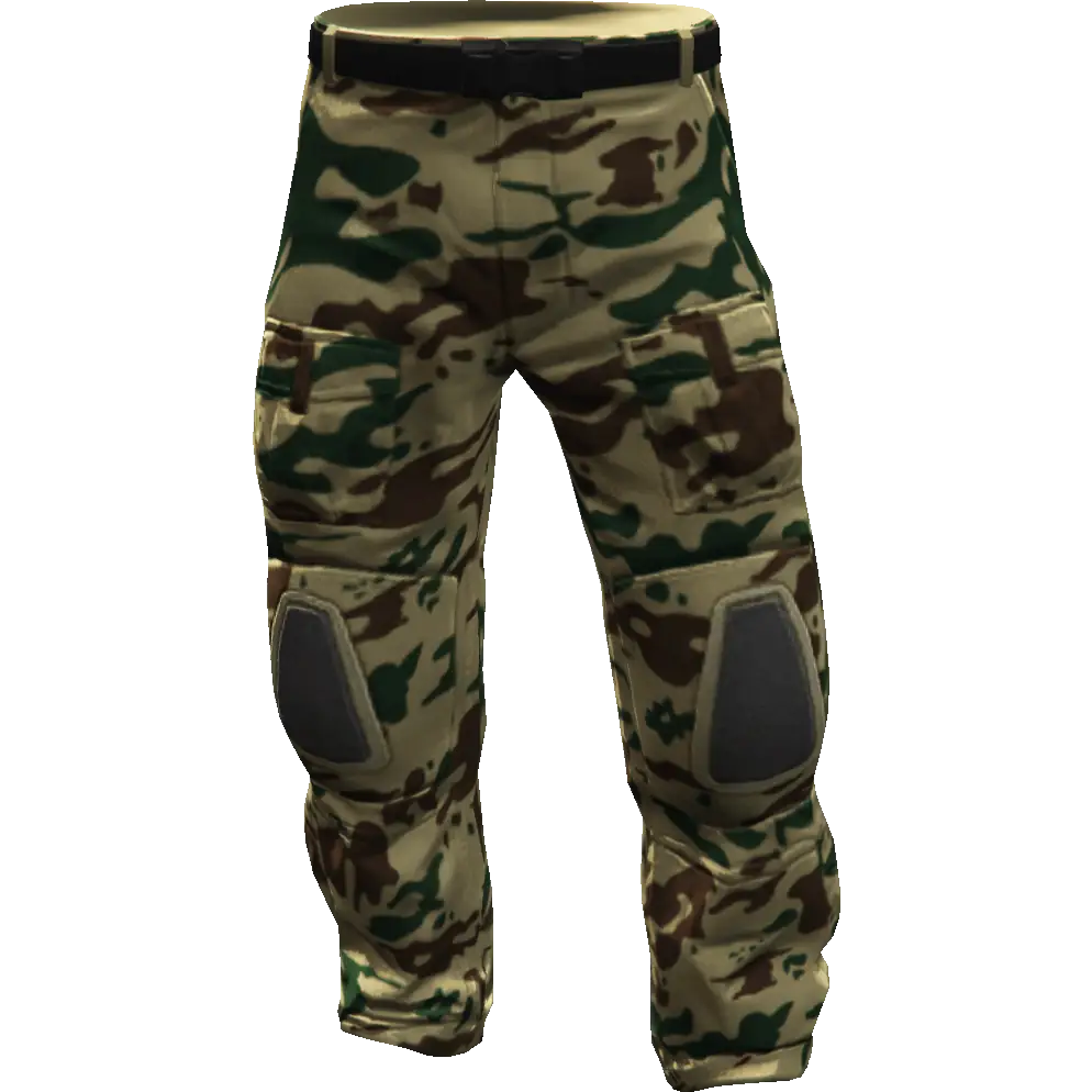 Гоночные штаны