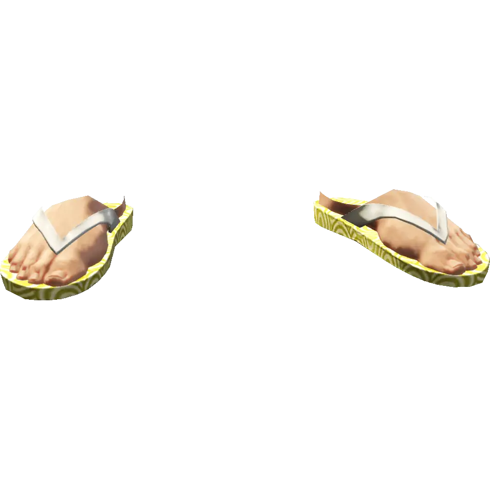 Вьетнамки походные