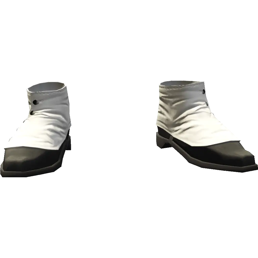 Туфли для чечетки