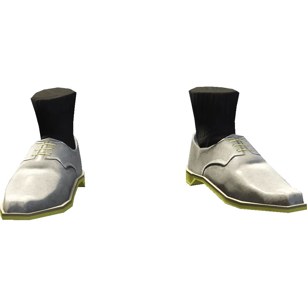 Туфли с носками