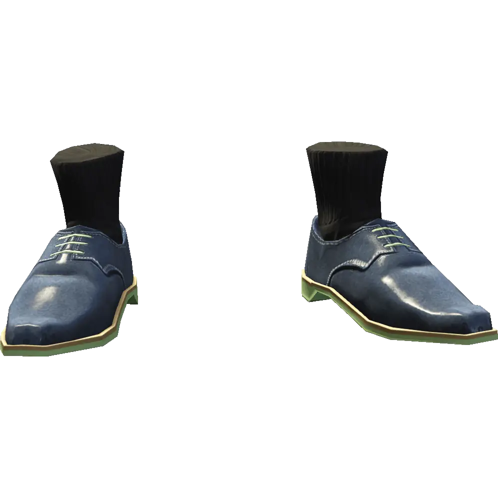 Туфли с носками