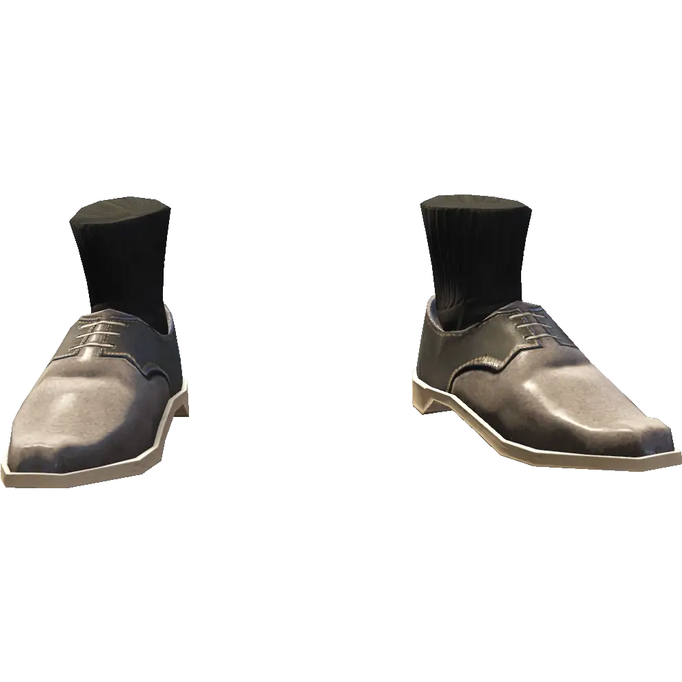 Туфли с носками