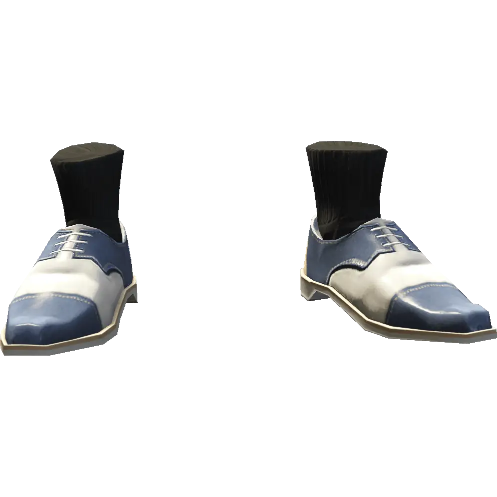 Туфли с носками