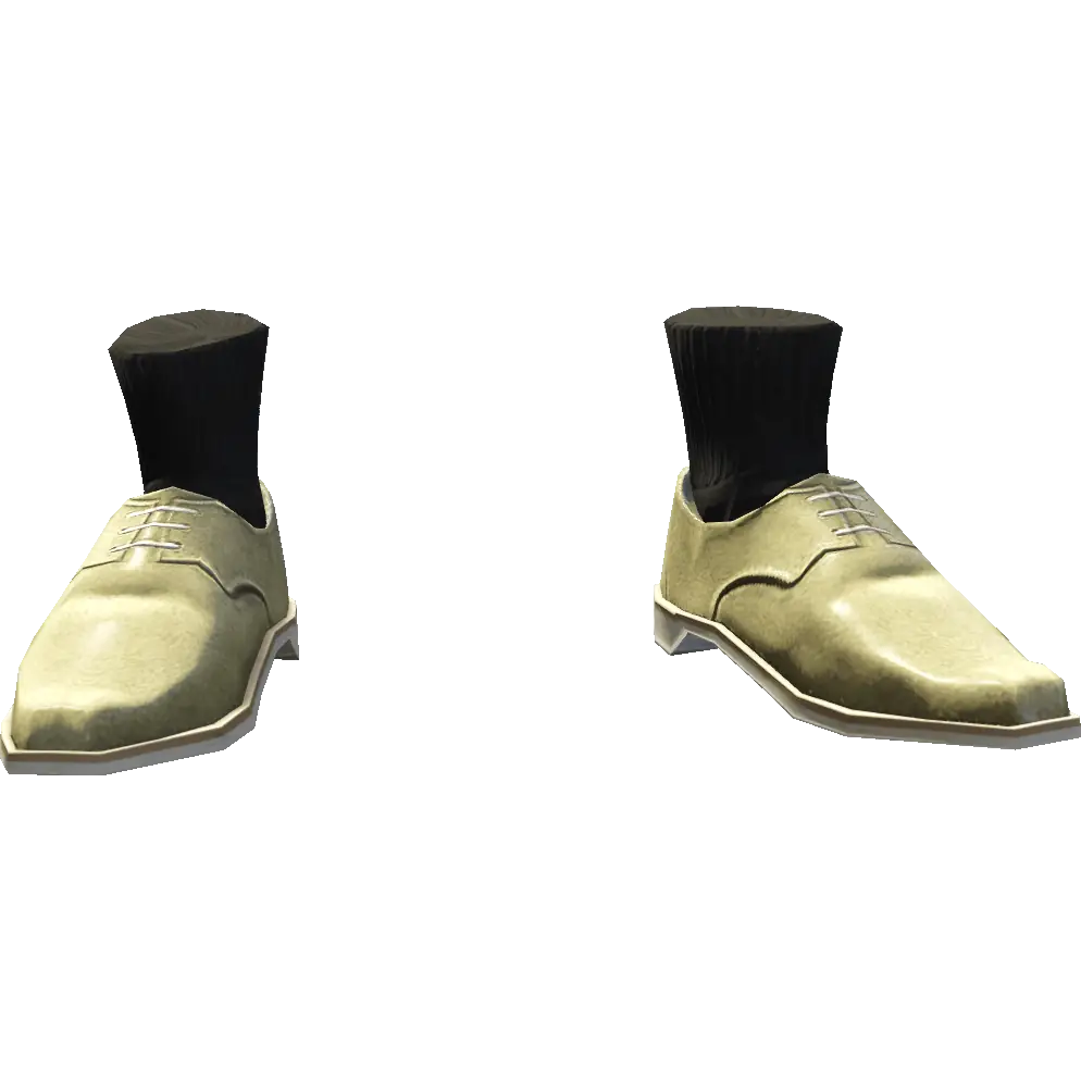 Туфли с носками