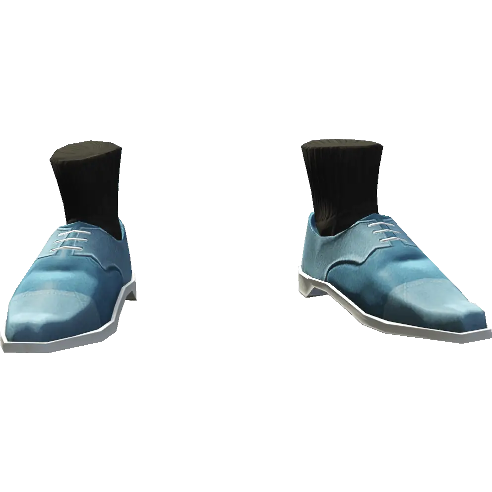 Туфли деловые с носками