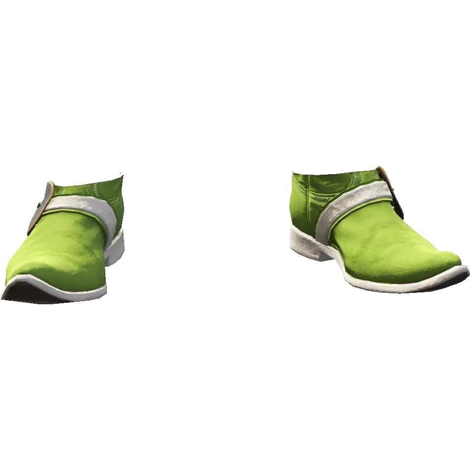 Ковбойские туфли с застежкой