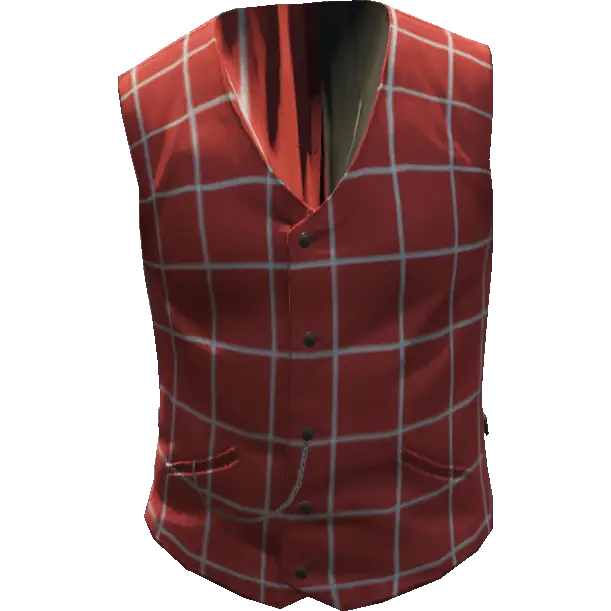 Деловой жилет