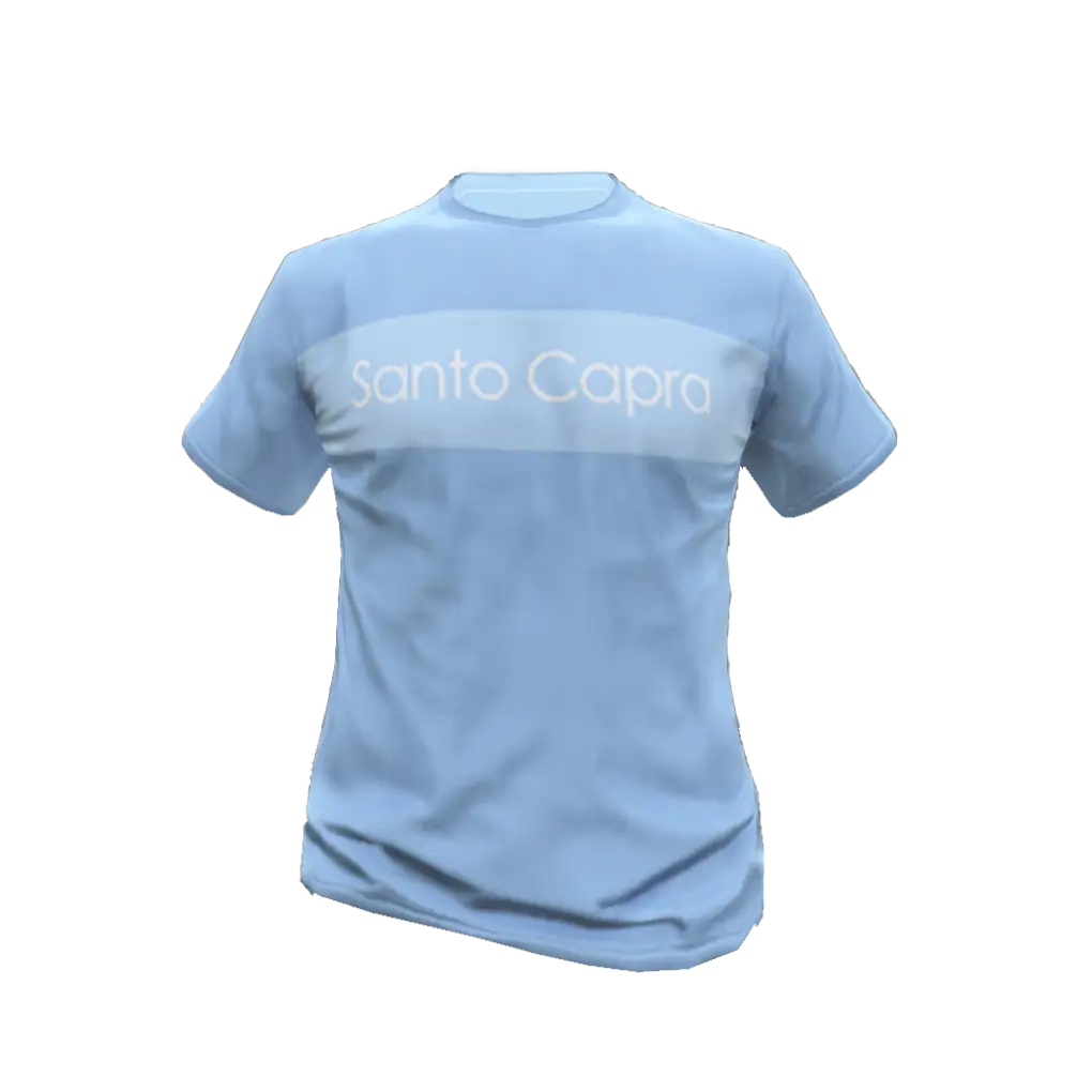 Футболка #25