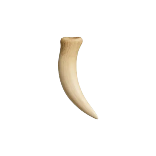 Клык пантеры