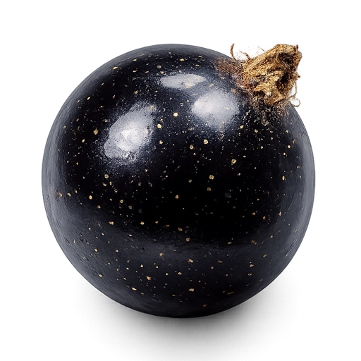 Чёрная смородина